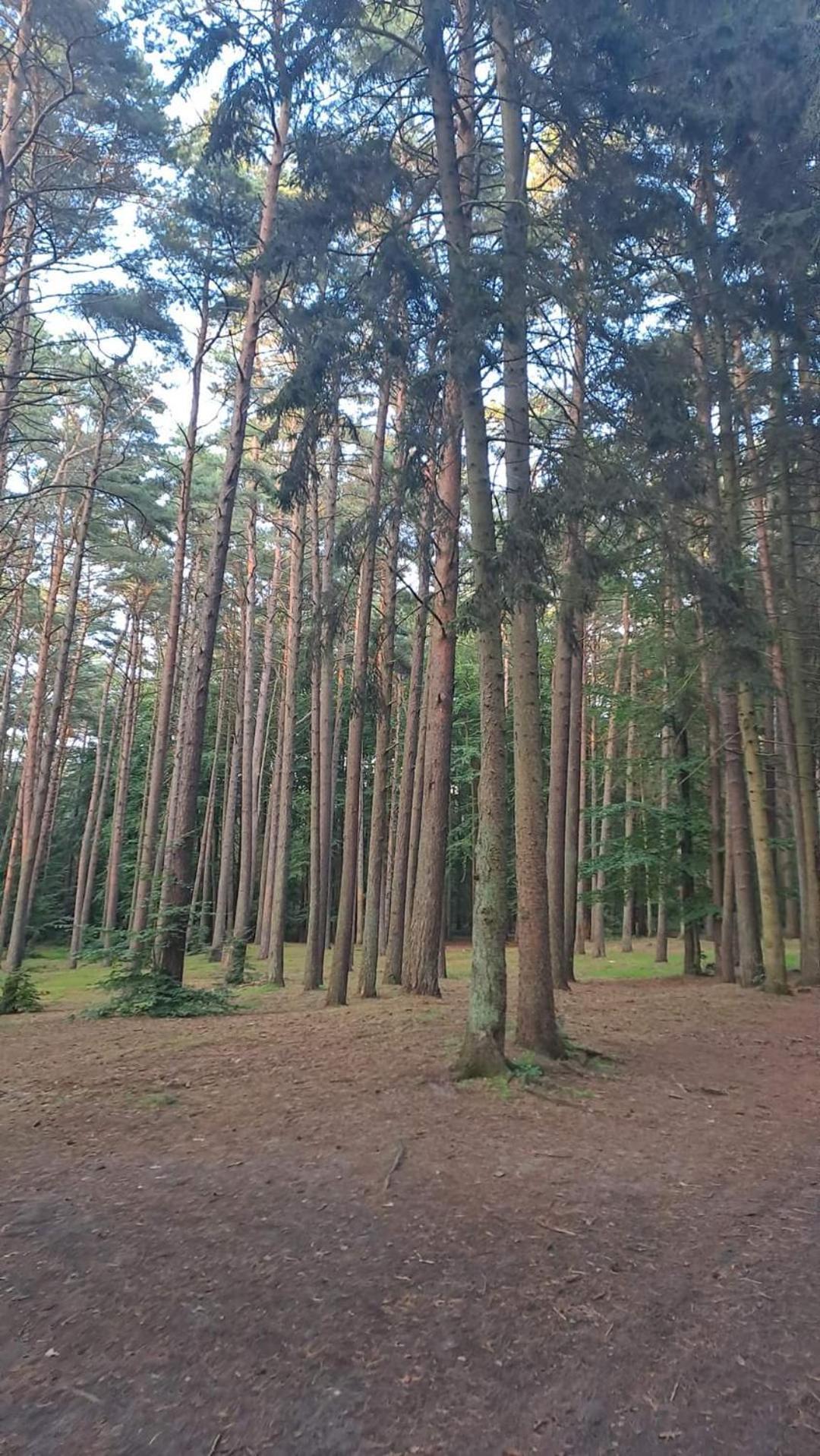 Pobierowo Baltic Apartaments D5 מראה חיצוני תמונה